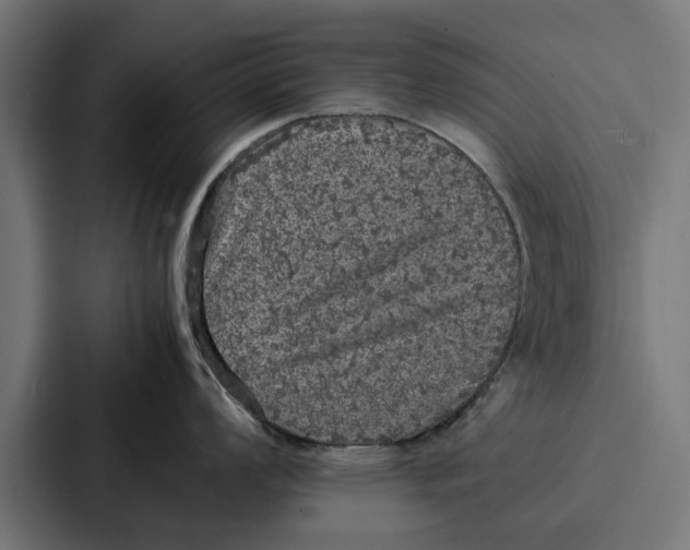 X0000087321008200705112133