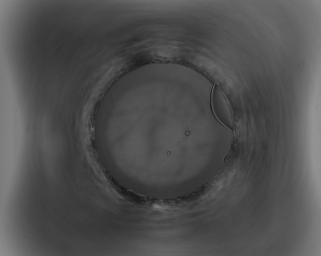 X0000087321009200705112132