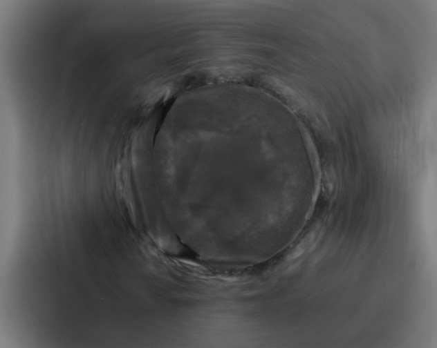 X0000087321010200705112132