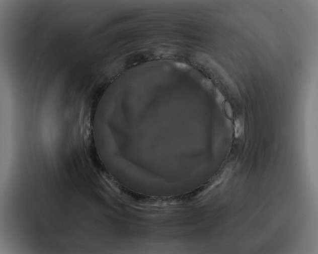 X0000087321011200705112132