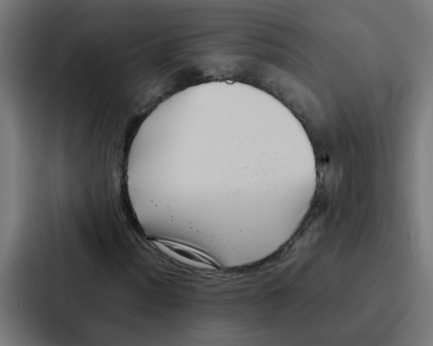 X0000087321012200705112132