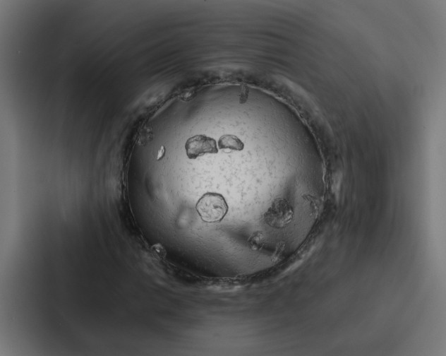 X0000087321014200705112132