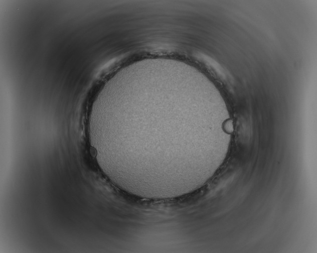 X0000087321016200705112133