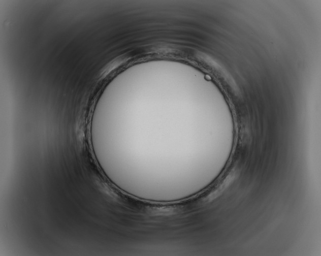 X0000087321017200705112133