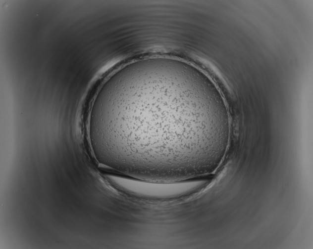 X0000087321018200705112133