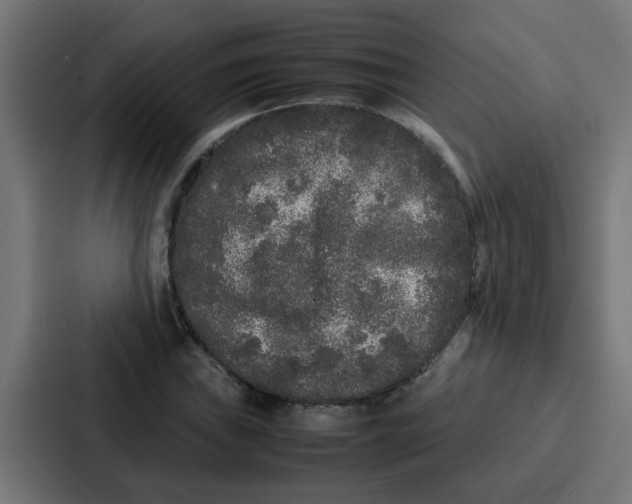 X0000087321019200705112133