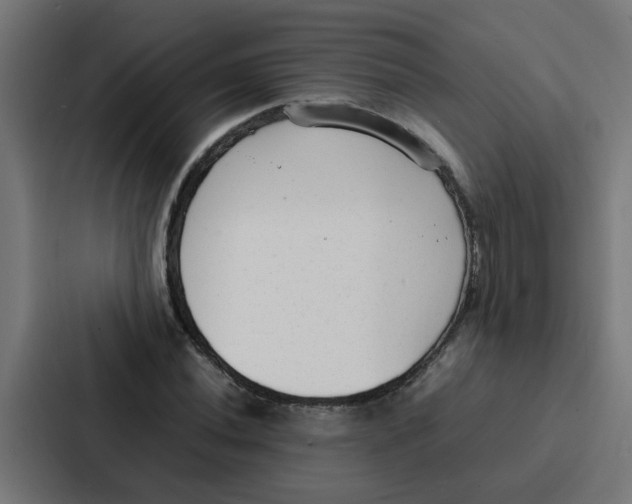 X0000087321020200705112133