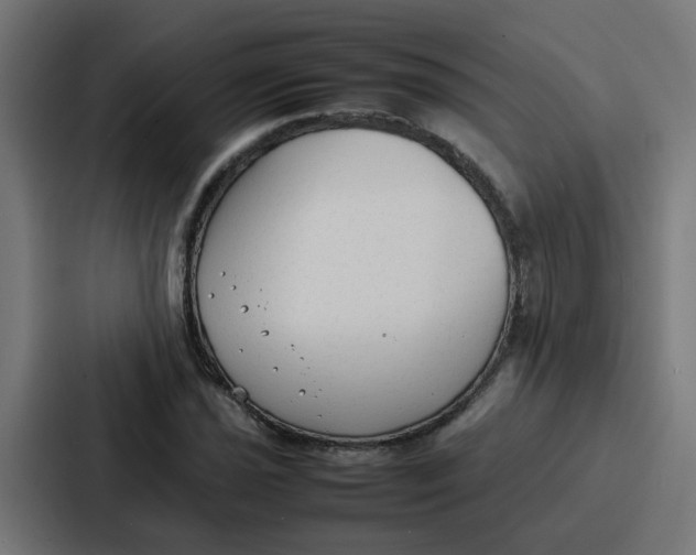 X0000087321021200705112133