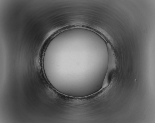 X0000087321022200705112133