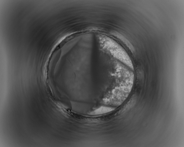 X0000087321023200705112133