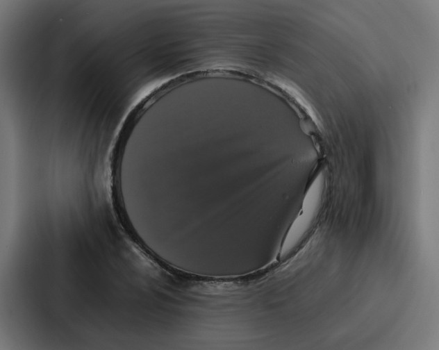 X0000087321024200705112133