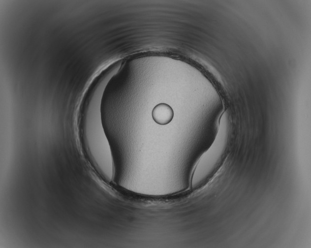 X0000087321026200705112133