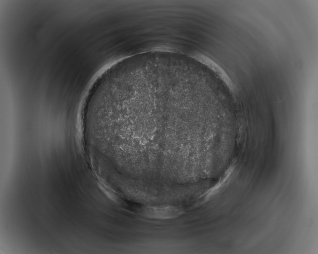 X0000087321027200705112133