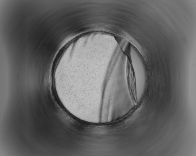 X0000087321028200705112133