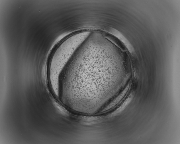 X0000087321030200705112133