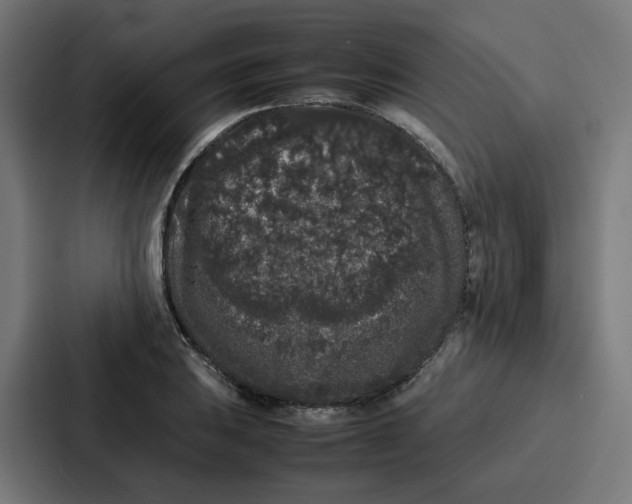 X0000087321031200705112133