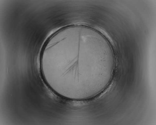 X0000087321032200705112133