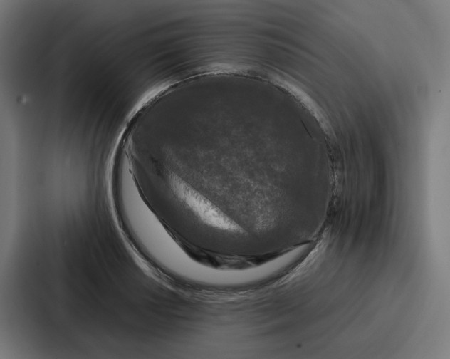 X0000087321034200705112133