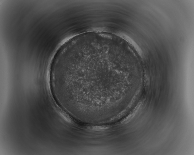 X0000087321035200705112133