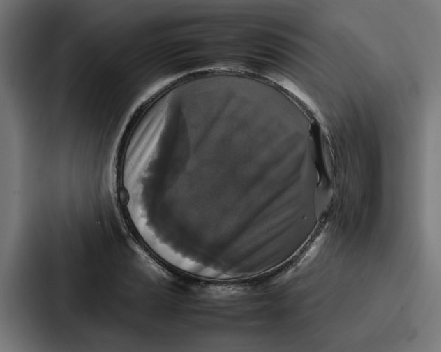 X0000087321037200705112133