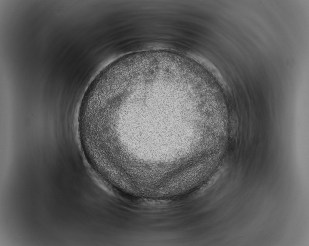 X0000087321039200705112133