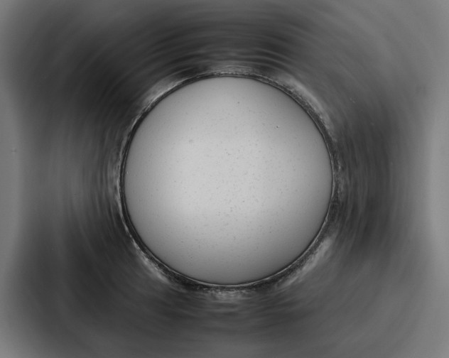 X0000087321041200705112133