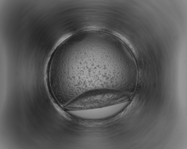 X0000087321042200705112133