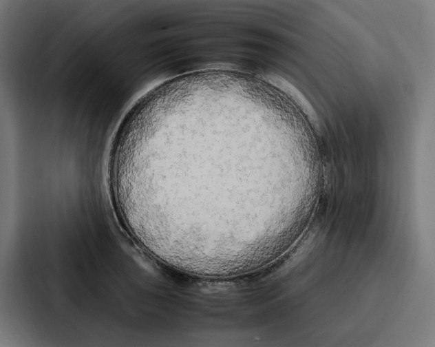 X0000087321043200705112133