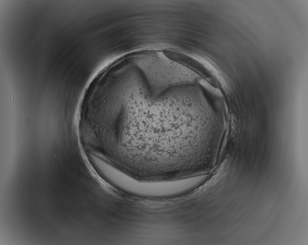 X0000087321046200705112133