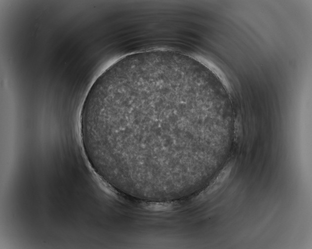 X0000087321047200705112133