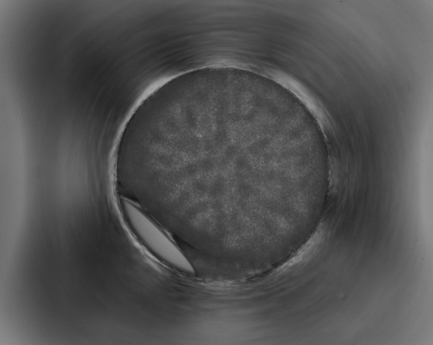 X0000087321048200705112133