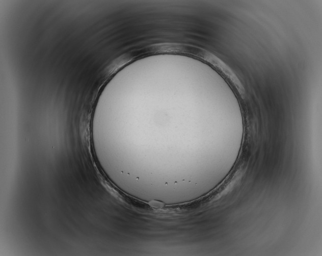 X0000087321049200705112133