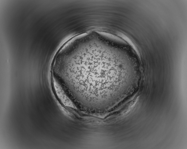 X0000087321050200705112133