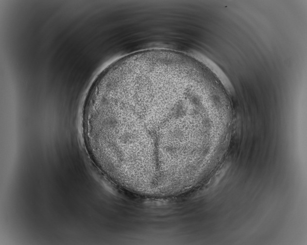 X0000087321051200705112133