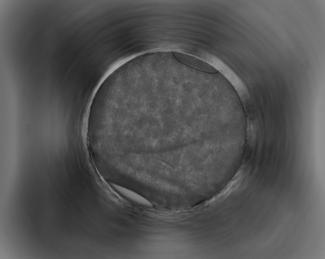 X0000087321052200705112133