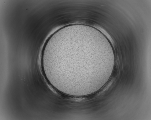 X0000087321053200705112133