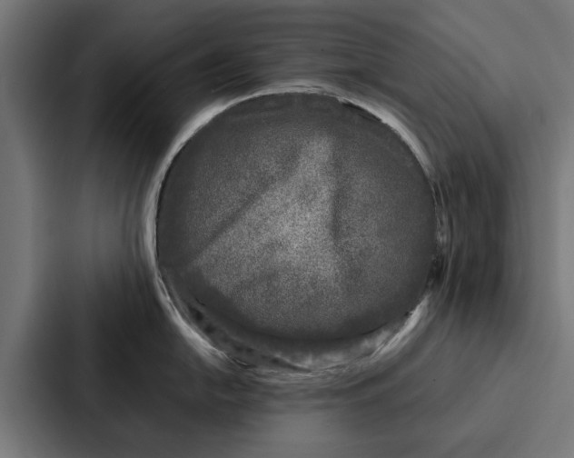 X0000087321054200705112133