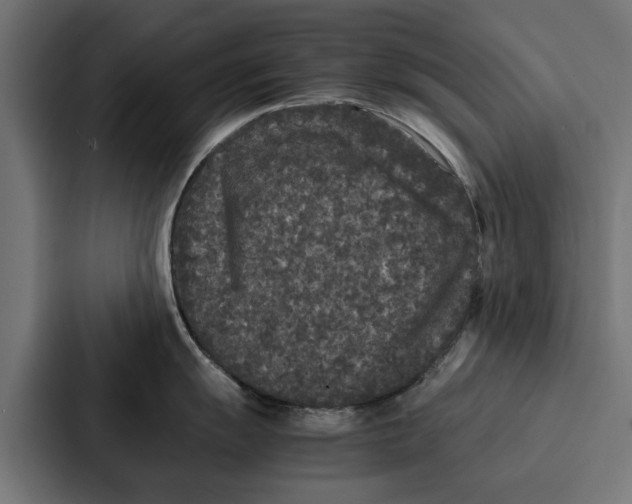 X0000087321055200705112133