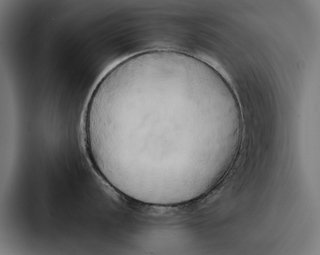 X0000087321056200705112133