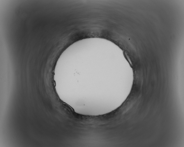 X0000087321057200705112132