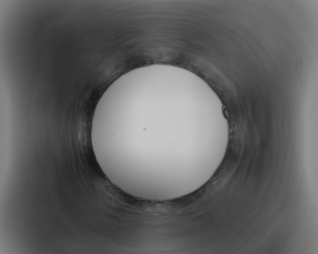 X0000087321058200705112132