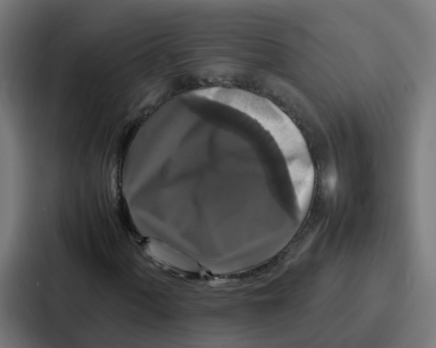 X0000087321060200705112132