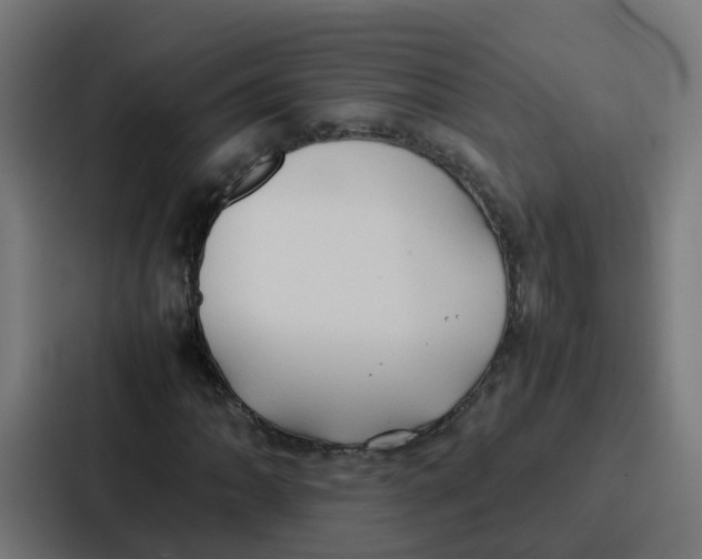 X0000087321062200705112132