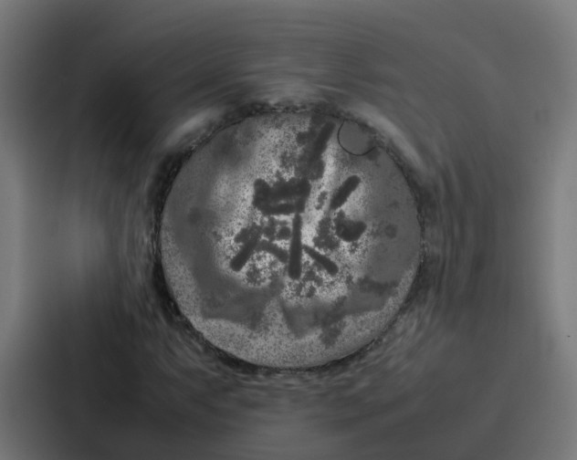 X0000087321063200705112132