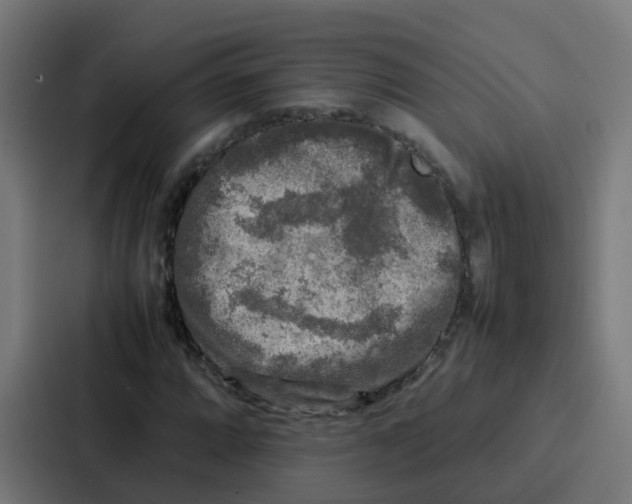 X0000087321064200705112132