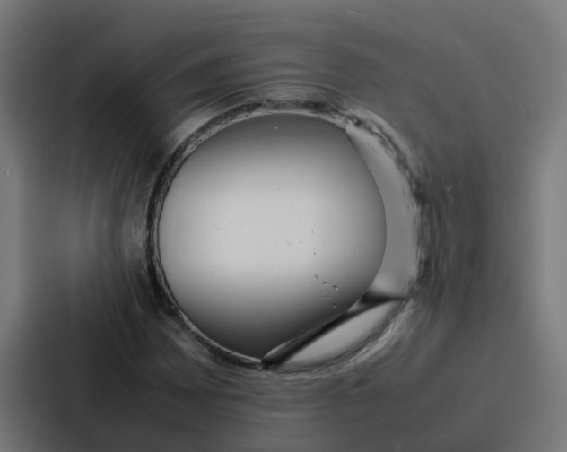 X0000087321065200705112132