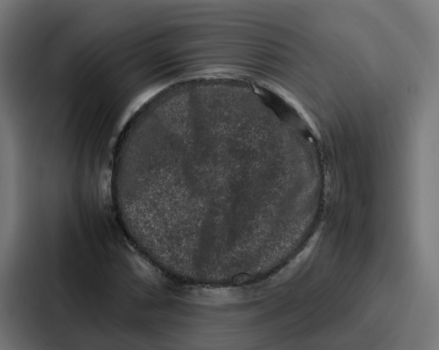 X0000087321066200705112132