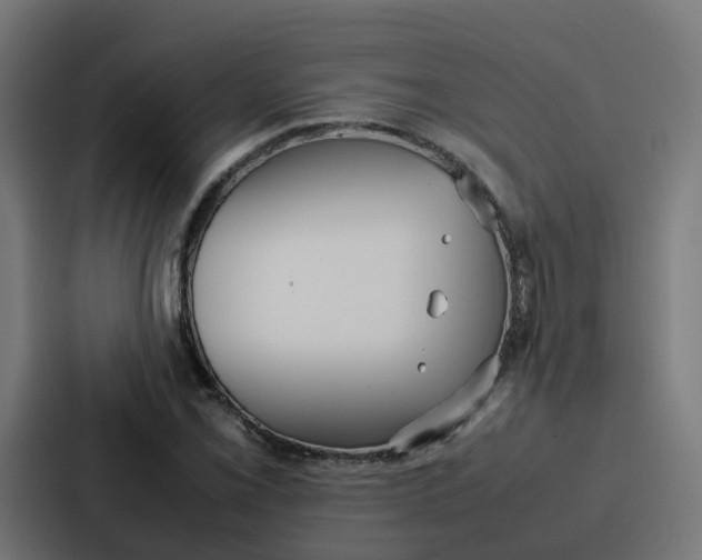 X0000087321069200705112132