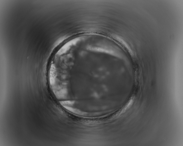 X0000087321071200705112132