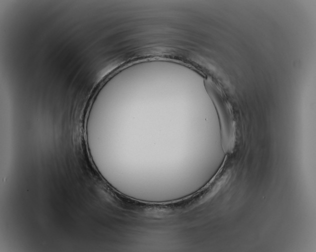 X0000087321073200705112132